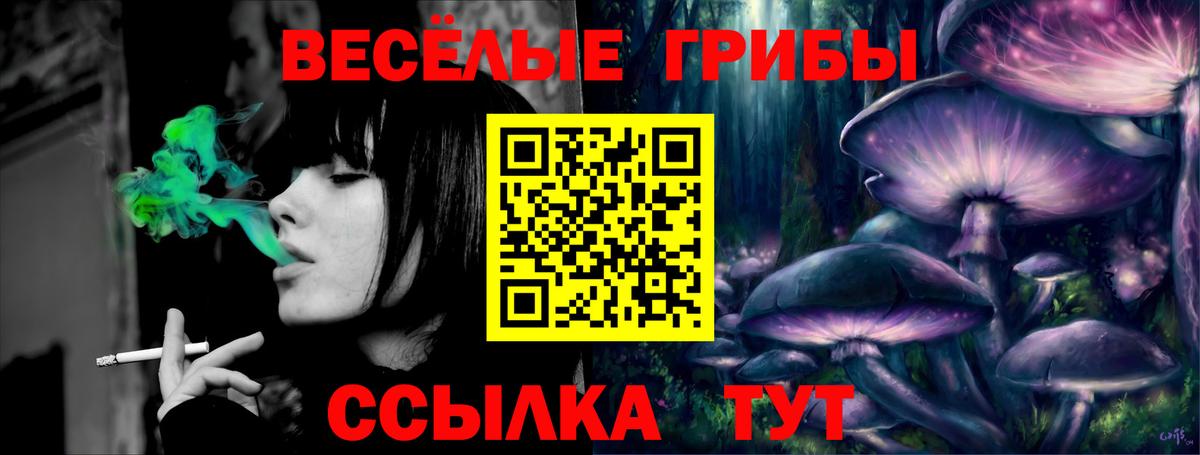 Псилоцибиновые грибы ЛСД  Галлюциногенные грибы прущие грибы  Вход с VPN  Майкоп 