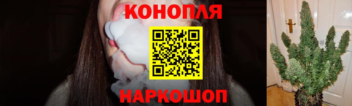 Альфа ПВП Майкоп